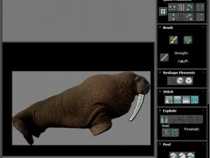 Walrus Modello 3D