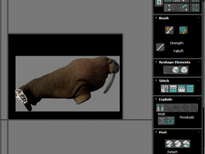 Walrus Modello 3D