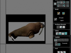 Walrus Modello 3D