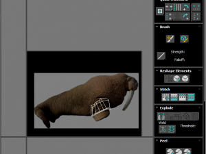 Walrus Modello 3D