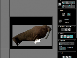 Walrus Modello 3D