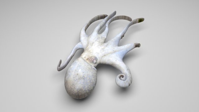 Octopus Modelo 3D .c4d .max .obj .3ds .fbx .stl .blend 