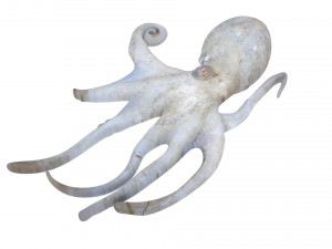 Octopus Modelo 3D