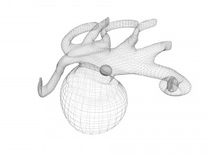 Octopus Modelo 3D