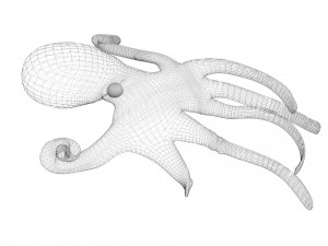 Octopus Modelo 3D