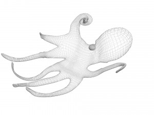 Octopus Modelo 3D