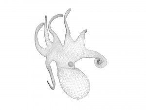 Octopus Modelo 3D