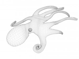 Octopus Modelo 3D