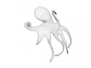 Octopus Modelo 3D