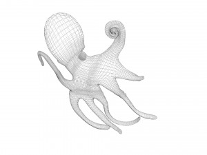 Octopus Modelo 3D
