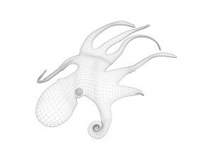 Octopus Modelo 3D