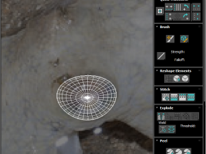Octopus Modelo 3D