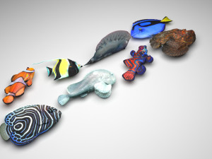 Fishes Set 3D 모델