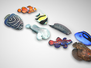 Fishes Set 3D 모델