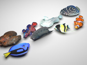 Fishes Set 3D 모델