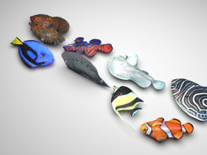 Fishes Set 3D 모델