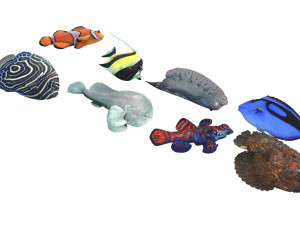 Fishes Set 3D 모델