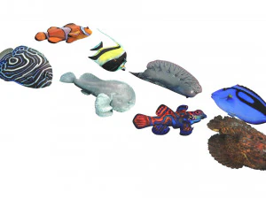 मछलियों का सेट 3D मॉडल