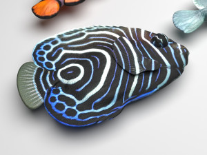 Fishes Set 3D 모델