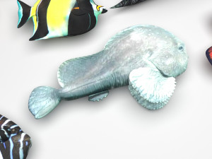 Fishes Set 3D 모델