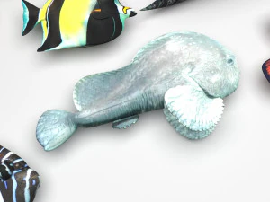 मछलियों का सेट 3D मॉडल