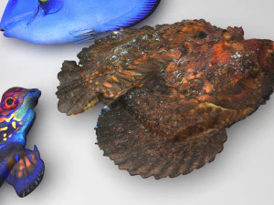 मछलियों का सेट 3D मॉडल