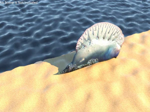 मछलियों का सेट 3D मॉडल