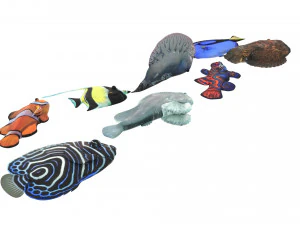 मछलियों का सेट 3D मॉडल