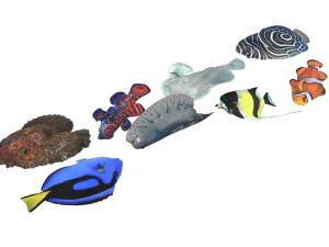 मछलियों का सेट 3D मॉडल