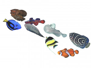 Fishes Set 3D 모델