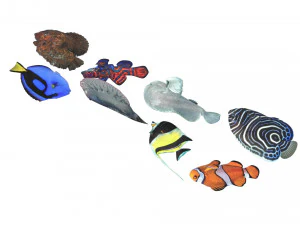 मछलियों का सेट 3D मॉडल