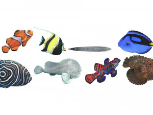 मछलियों का सेट 3D मॉडल