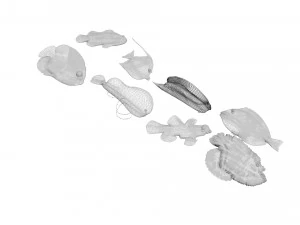 मछलियों का सेट 3D मॉडल