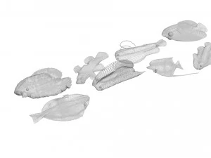 मछलियों का सेट 3D मॉडल