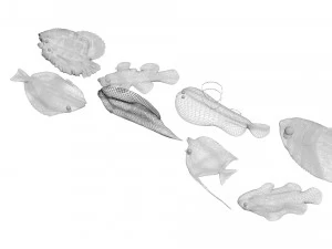 मछलियों का सेट 3D मॉडल