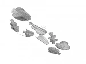 मछलियों का सेट 3D मॉडल