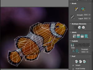 Fishes Set 3D 모델