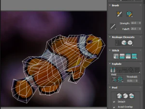 मछलियों का सेट 3D मॉडल