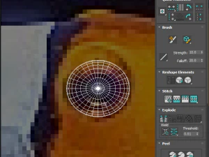 मछलियों का सेट 3D मॉडल