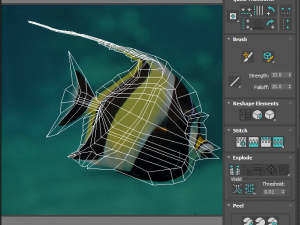 Fishes Set 3D 모델