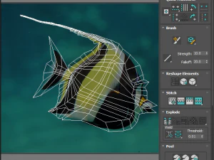 मछलियों का सेट 3D मॉडल