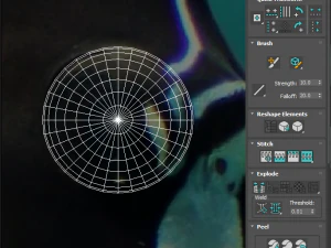 मछलियों का सेट 3D मॉडल