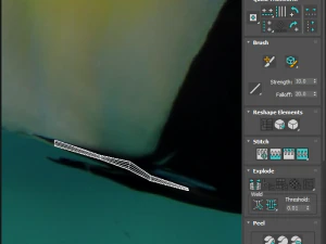 मछलियों का सेट 3D मॉडल