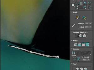 मछलियों का सेट 3D मॉडल