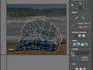 मछलियों का सेट 3D मॉडल