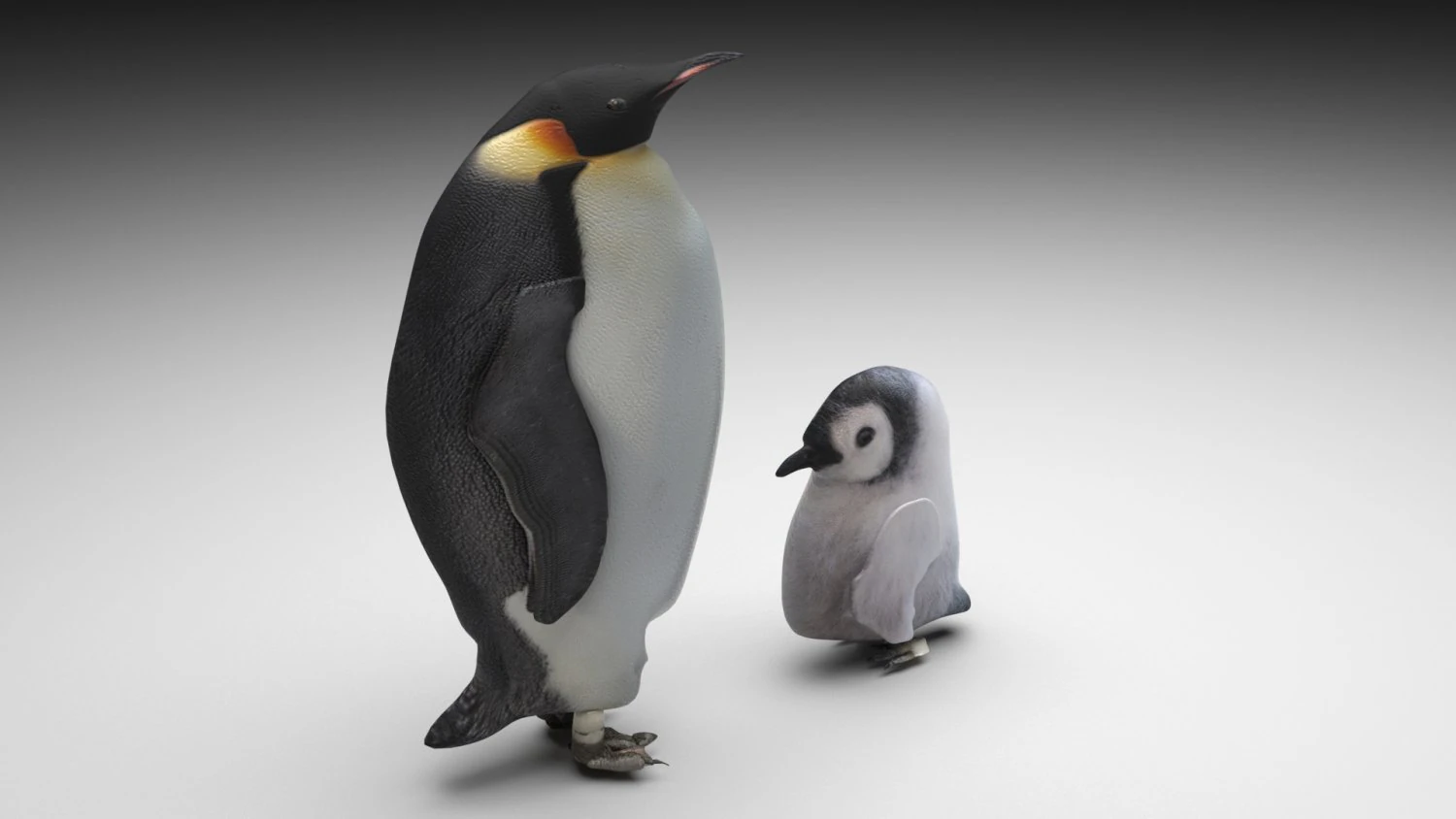 Penguin With Baby Penguin 3D Model .c4d .max .obj .3ds .fbx .stl .blend