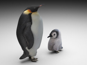 Penguin With Baby Penguin 3D Модель