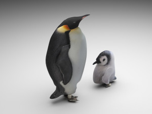 Penguin With Baby Penguin Modèle 3D