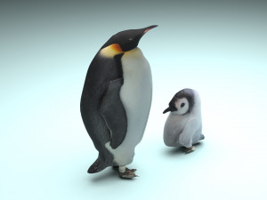 Penguin With Baby Penguin Modèle 3D