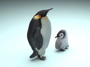 Penguin With Baby Penguin 3D Model